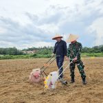 Wakil Ketua II DPRD Balangan Saiful Arif apresiasi penanaman jagung serentak oleh Polres Balangan. Program ini dukung swasembada pangan di Bumi Sanggam.